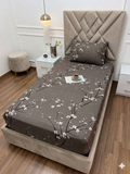 Draps housse 1 place